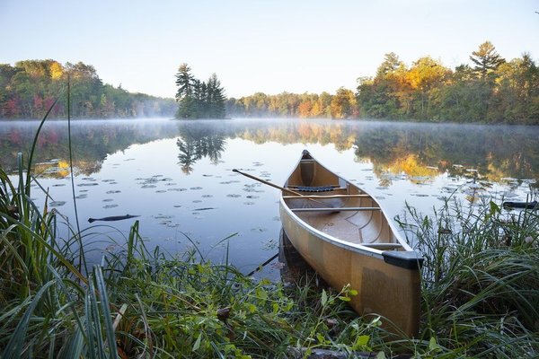 How to Design a Home Fitness Area That Incorporates Natural Elements for a Calming Workout Environment?
